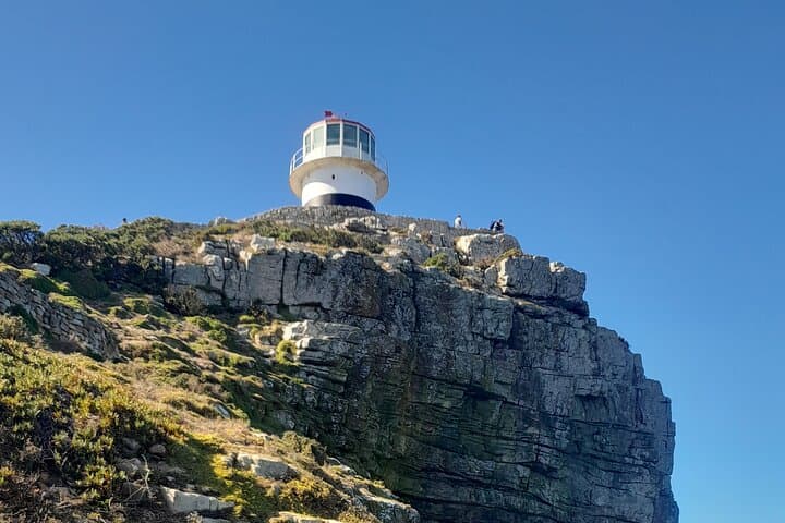 Cape Point Cape Of Good Hope And Penguins Private Tour