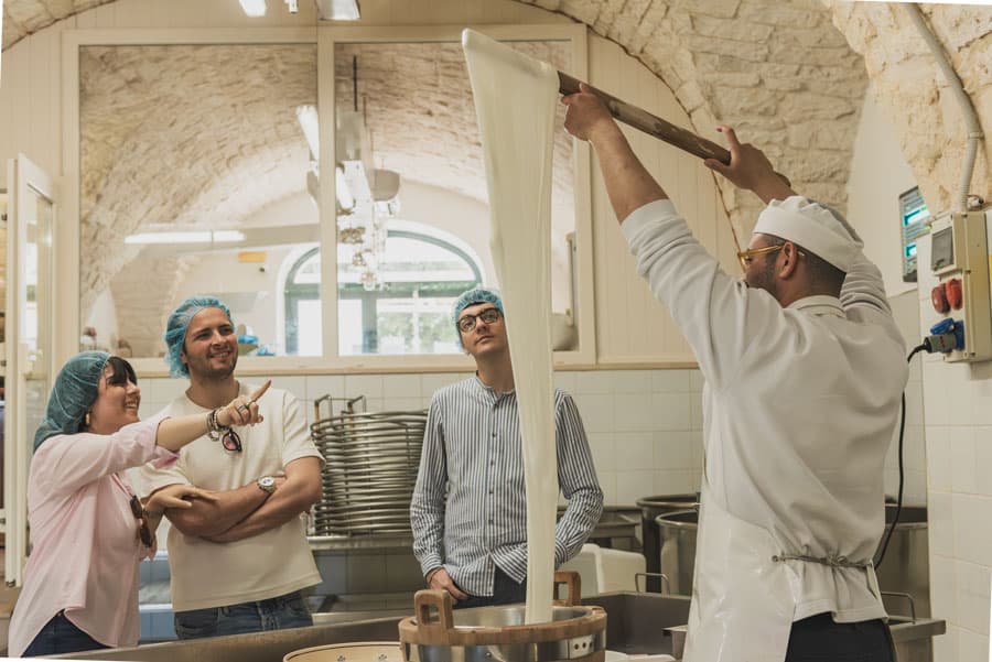 Masseria Seppunisi Tour - Mozzarella and Burrata experience