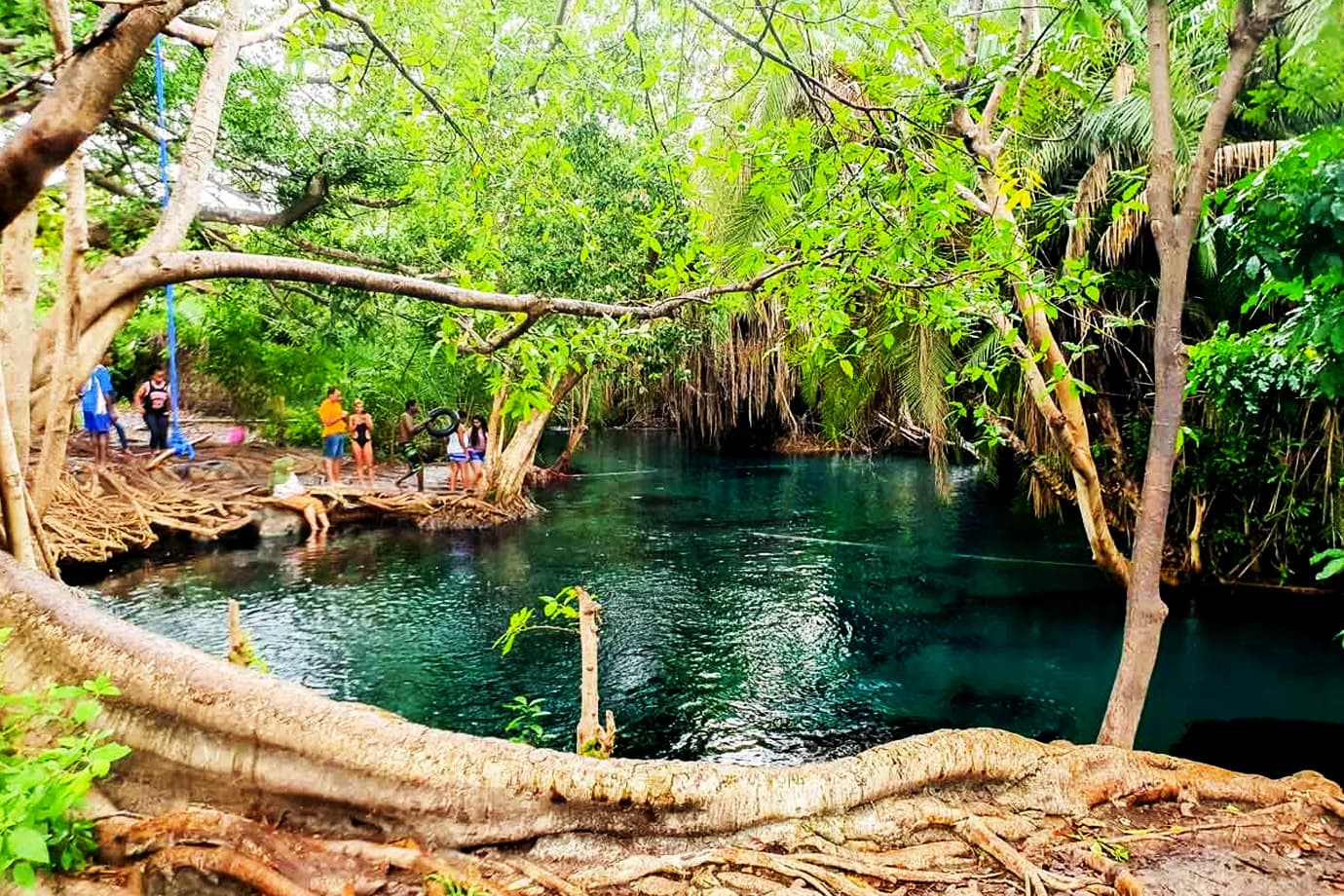 Chemka Springs Experience: Nature’s Pool