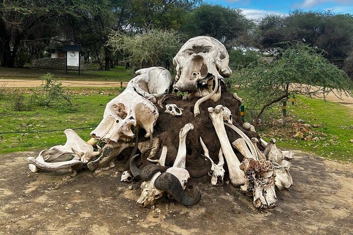 3Day Culture & Wildlife Safari: Tarangire,Ngorongoro & Lake Eyasi