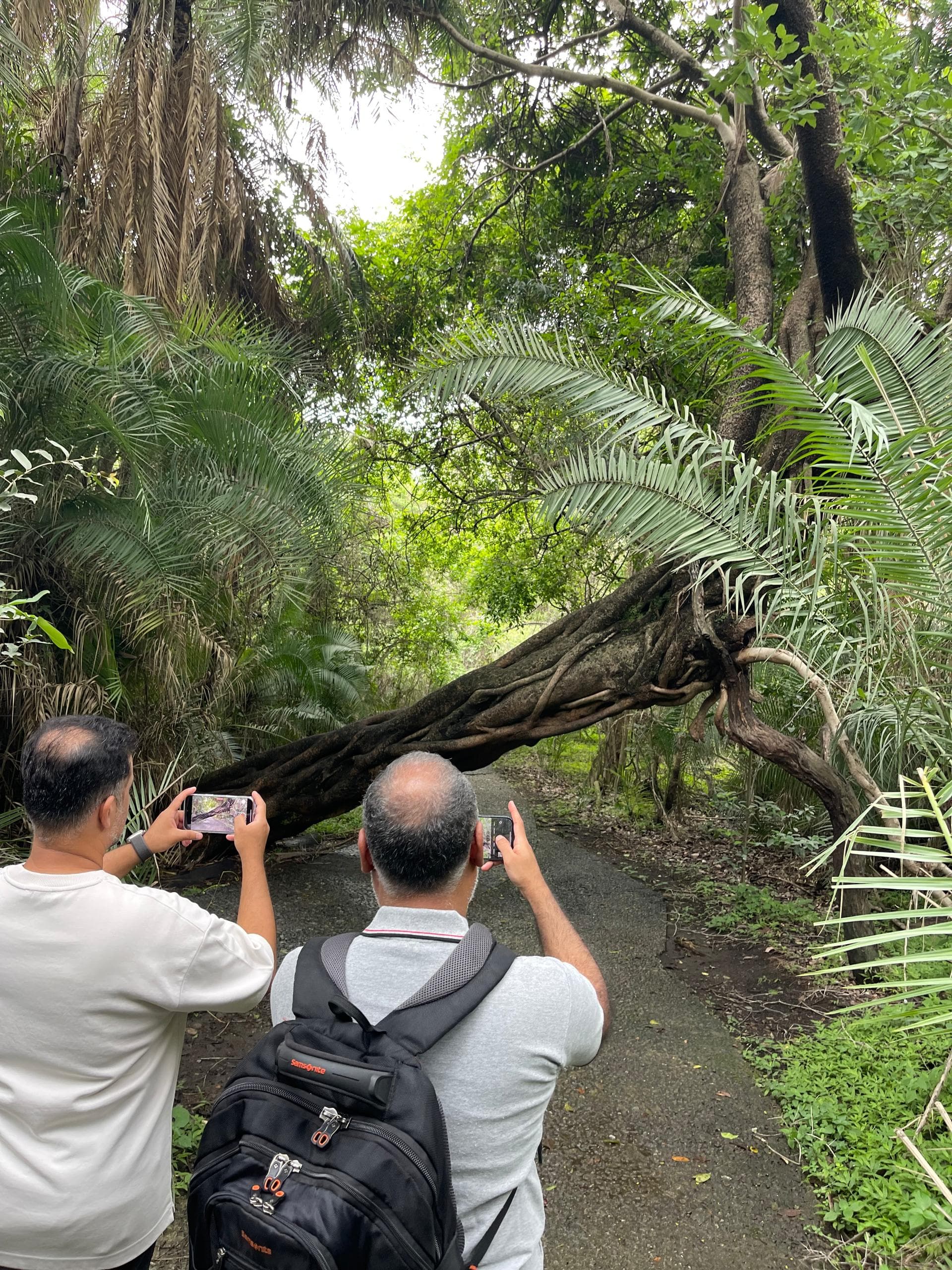 Zimbabwe and Zambia Guided Tour of the Victoria Falls