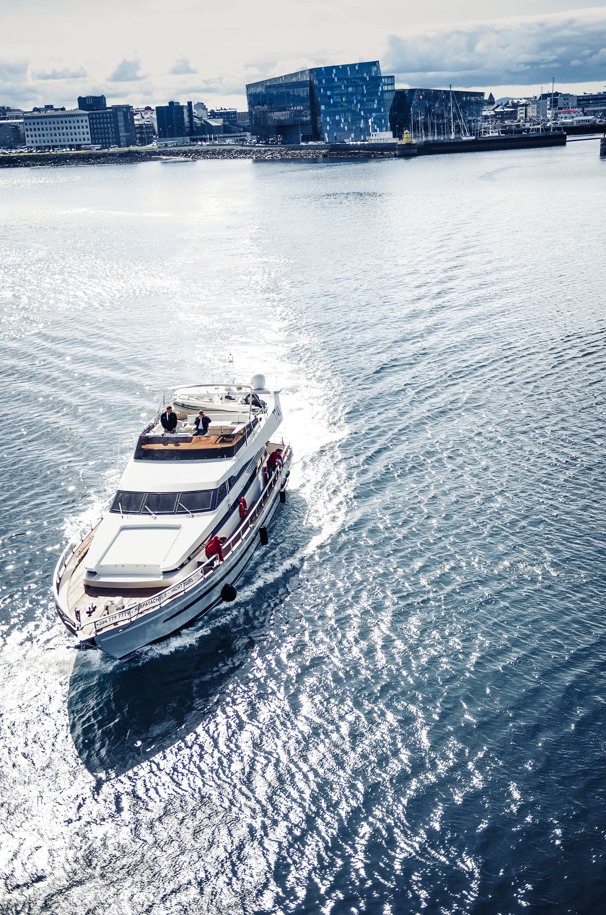 2.5-3 Hour Private Whale Watching on a yacht in Reykjavík