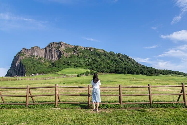 Full-day Customizable Private Jeju Island Tour