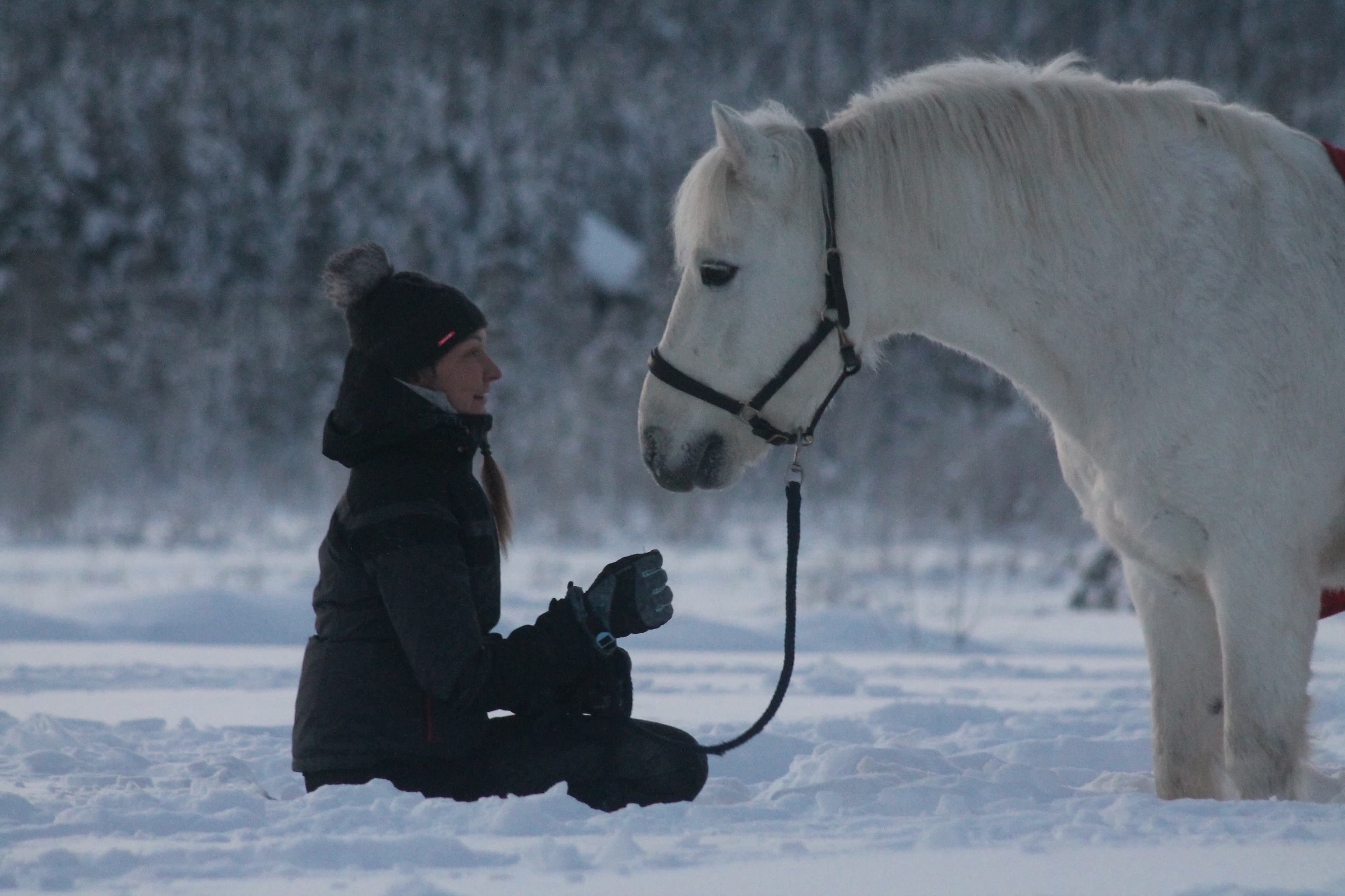 Wolverine's Way – Horseback trail ride