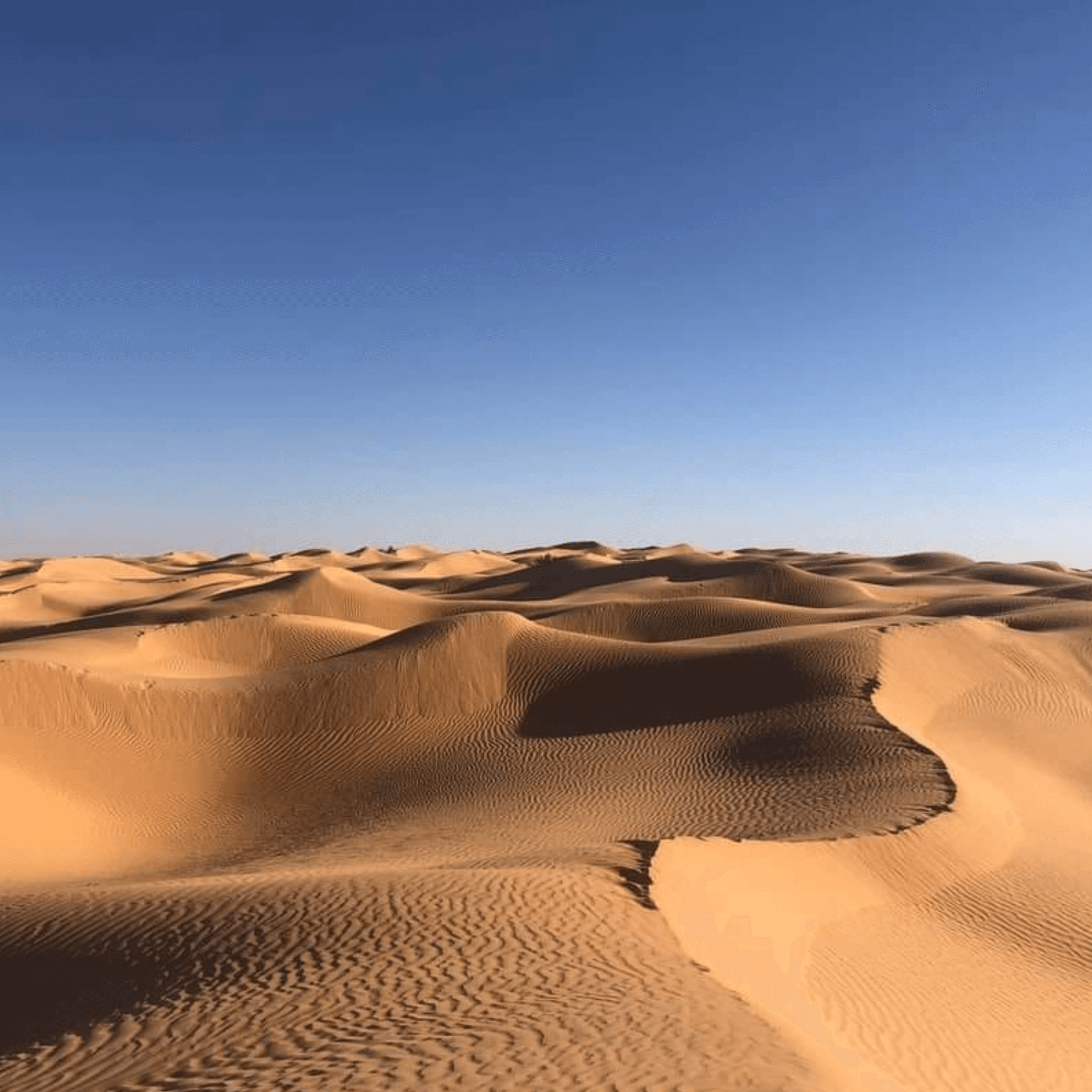 Au départ de Djerba ou zarzis : Excursion deux jours et une nuit sous tente au désert 