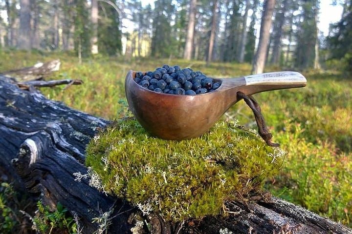 PRIVATE Grand Helsinki Tour and Seurasaari Open Air Museum 