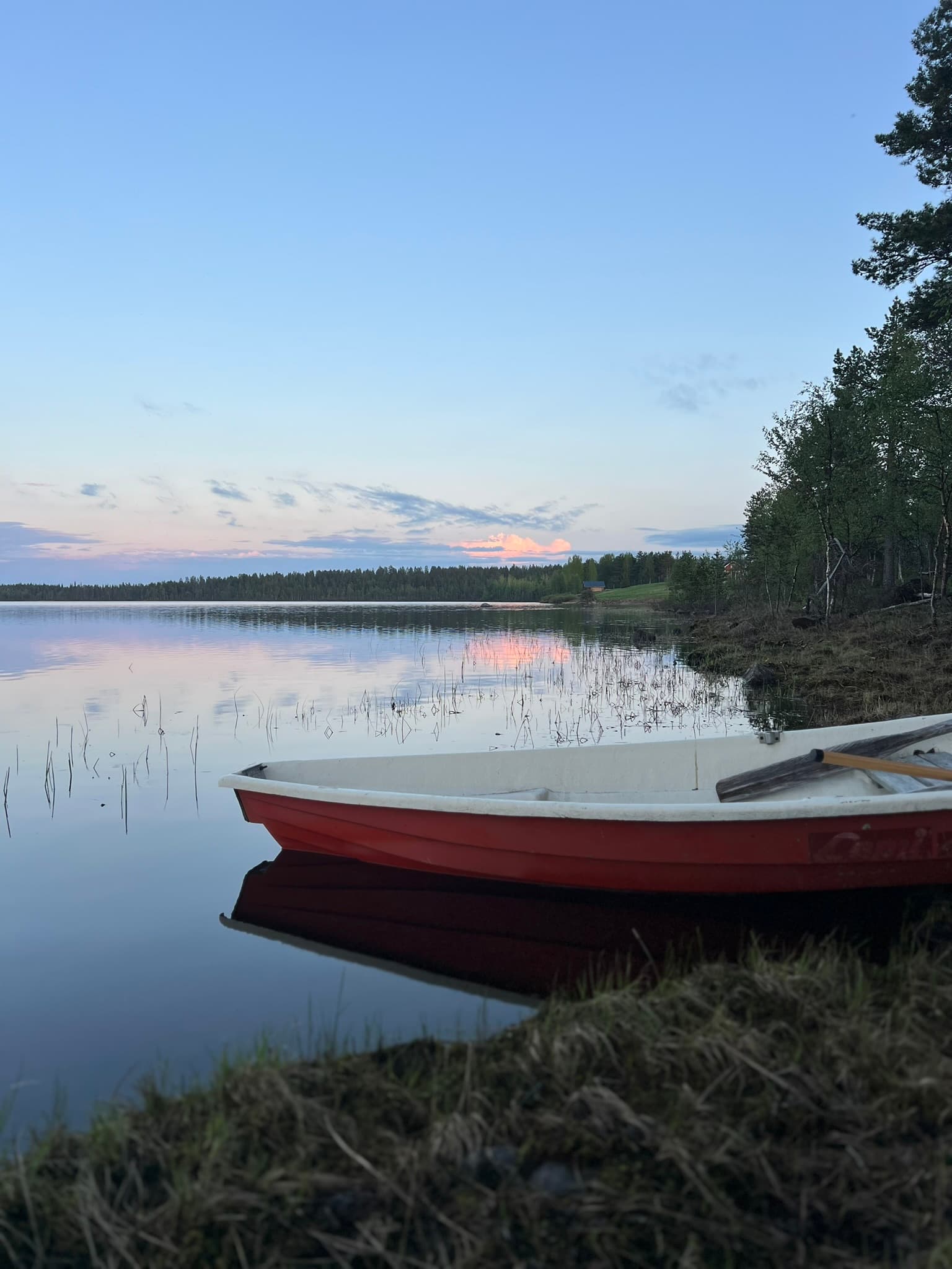 Midnight Wilderness Adventure