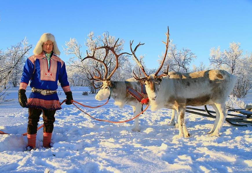 Excursion to Norwegian Lapland