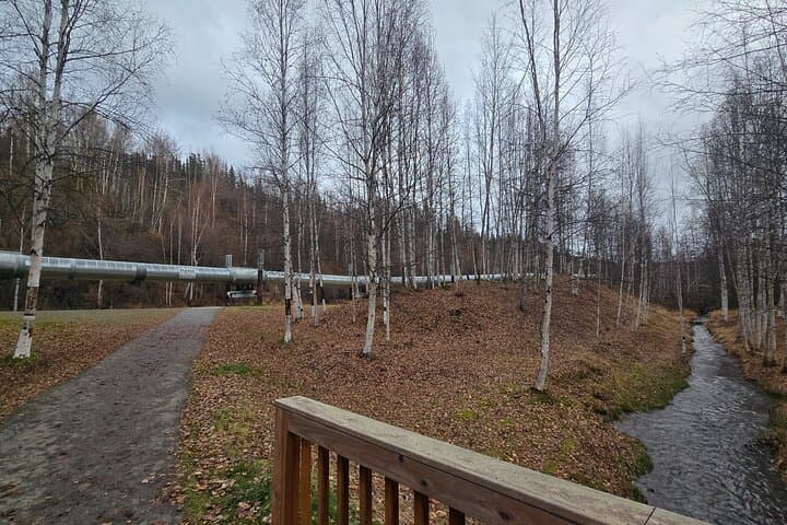 Heart of Fairbanks Tour Culture, Food, History and Fun