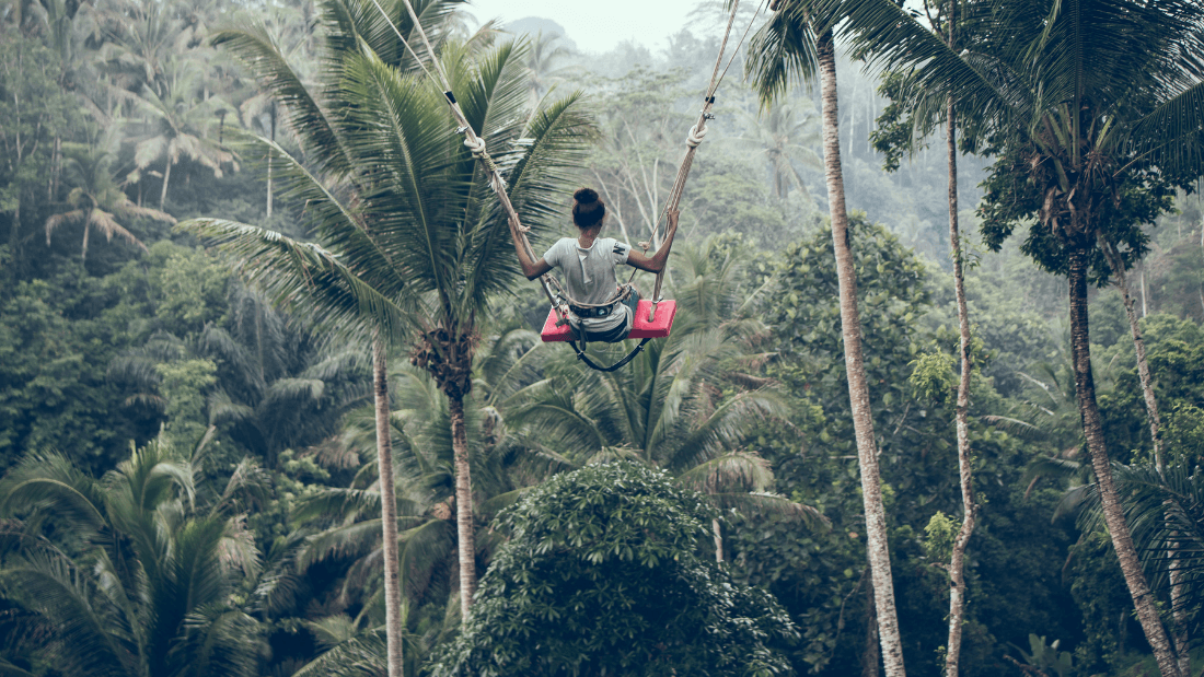 Ubud Scenic Tour with Jungle Swing