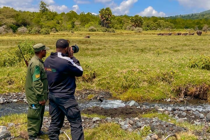 It's a Walking Safari