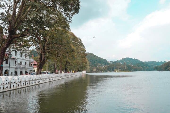 Kandy Private Day Tour from Trincomalee