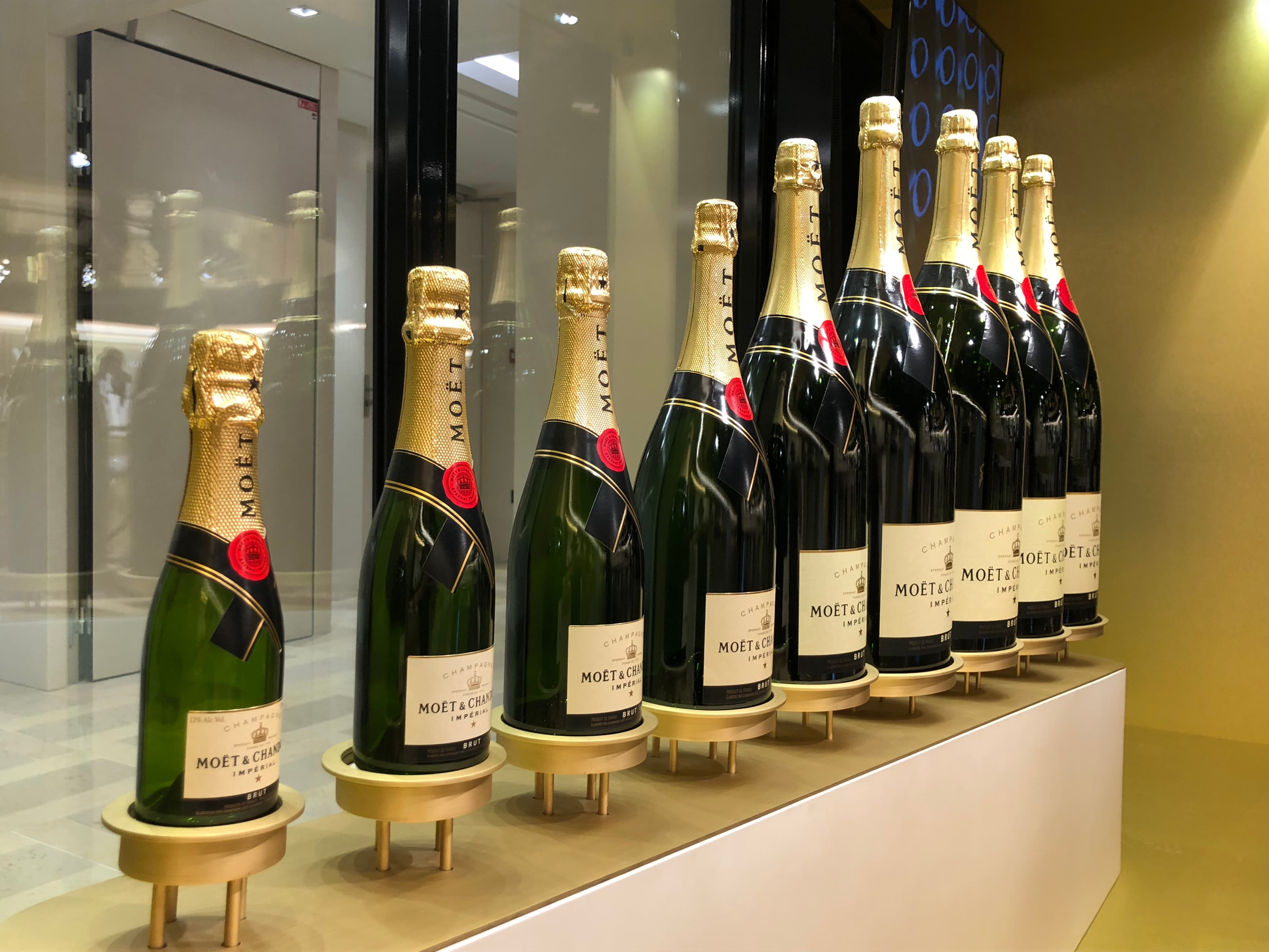 REIMS & CHAMPAGNE REGION One Day Trip 