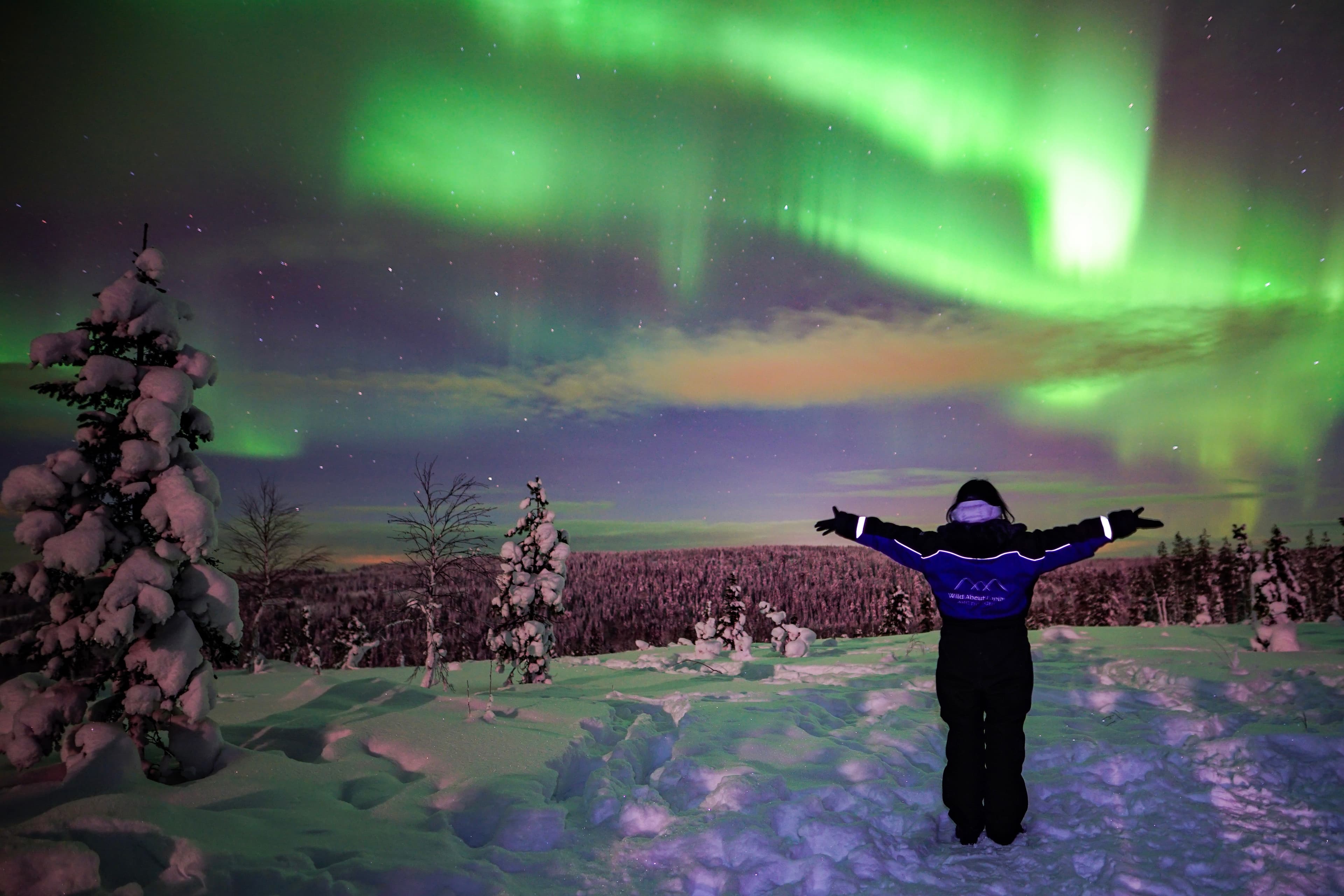 Northern Lights Wilderness Tour with Professional Camera