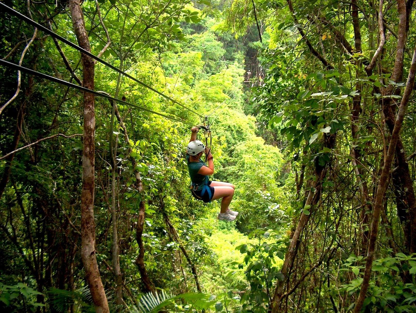 Belize Ziplining Adventure Tour with Lunch and Butterfly Farm