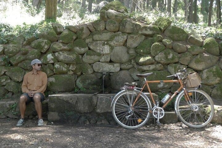 Combo Private vintage Bike tour with street arts in Lisbon
