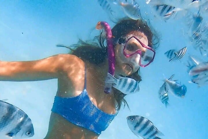 Zanzibar Jozani Forest, Kuza Cave and Blue Lagoon with Starfishes