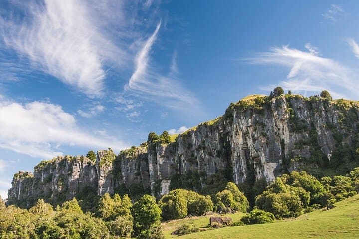 12-Hour LOTR Trollshaws & Waitomo Glowworm Tour 