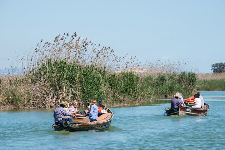 Albufera Private Day Tour: Paella, Boat Cruise and Nature Walk