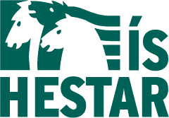 Íshestar Riding Tours