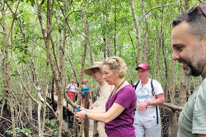 Private Walking Tour in Jozani Forest in Zanzibar 