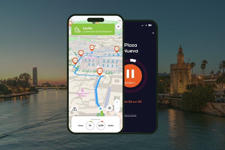 Seville: Audio Guided Walking Tour (3:20 - 28 audio comments)