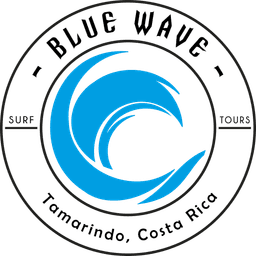 Blue Wave Surf & Tours