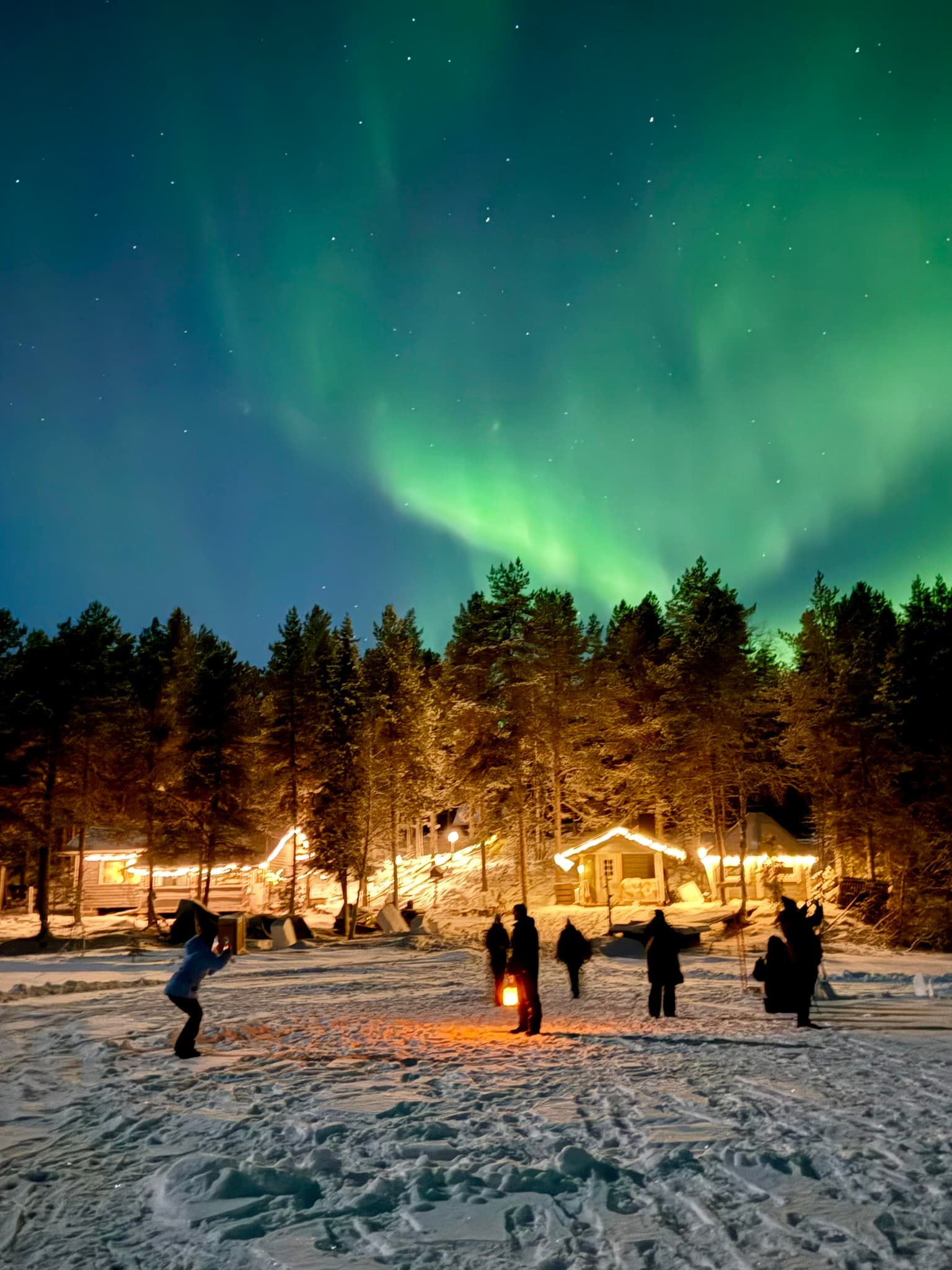 Northern Lights Adventure in the Wild with Campfire Treats