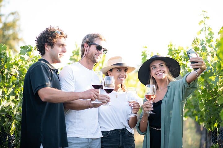 Cousino Macul Private Vineyard Tour with 6 Wine Tastings