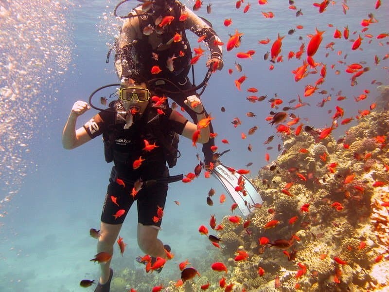 Trip to Tiran Island 