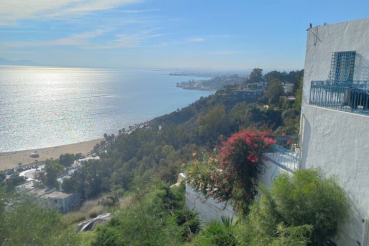 Tunis Highlights Private Day Tour Carthage Bardo & Sidi Bou Said 