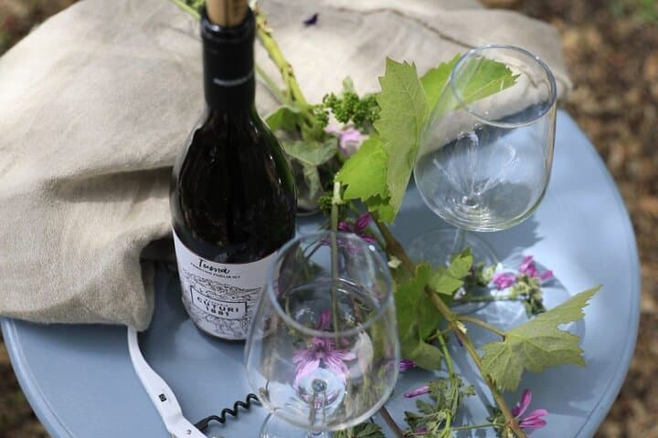 Taranto and Manduria with Wine Tasting Day Tour