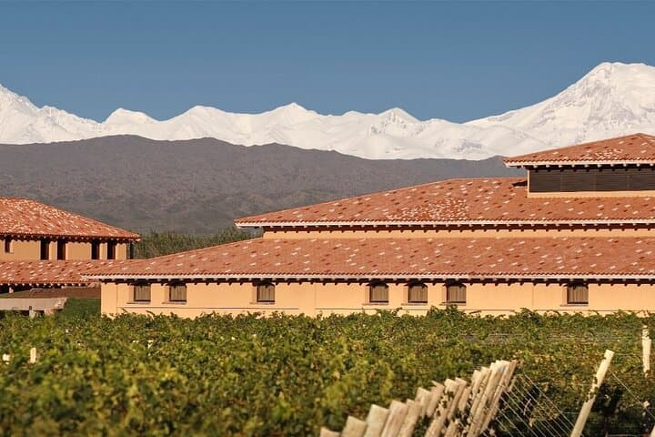 City Tour and Visit to 2 Wineries in Mendoza