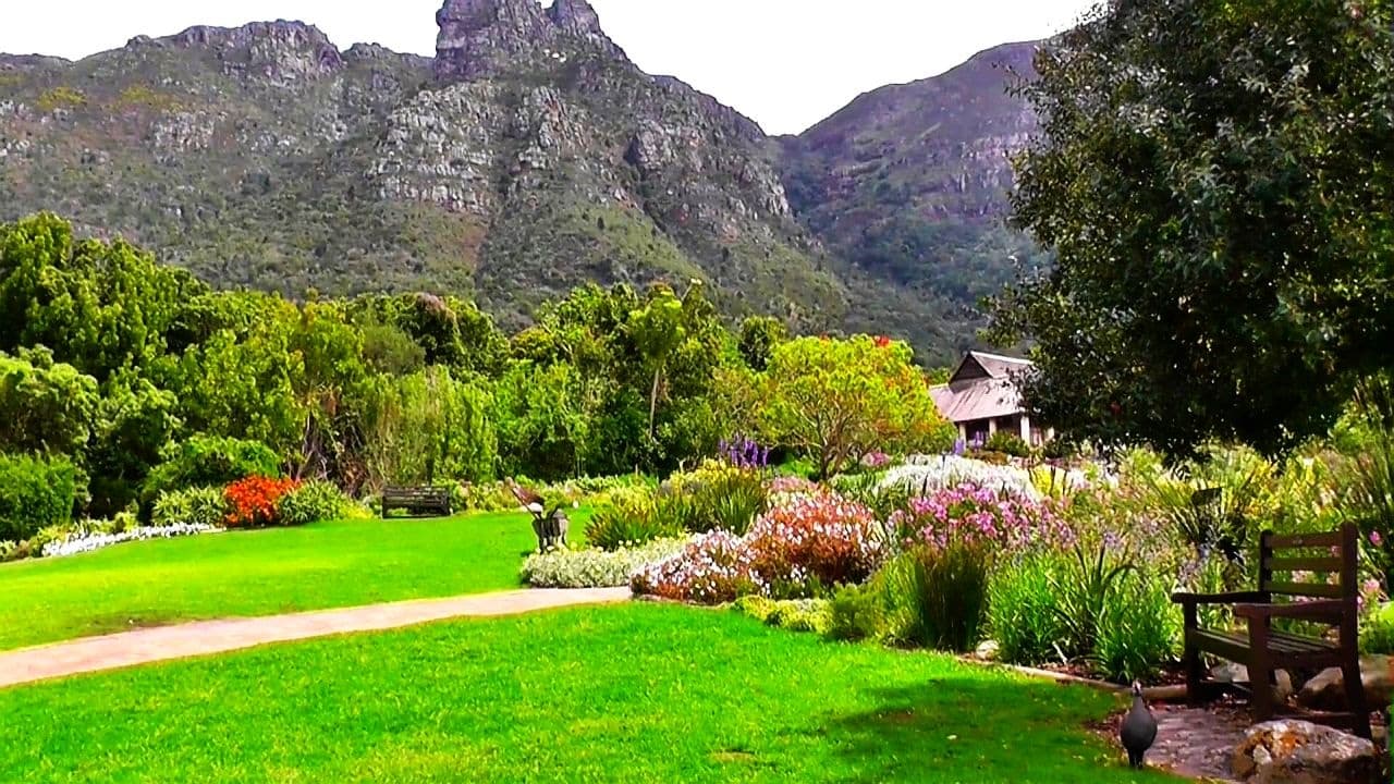 Luxury Tour Garden Route 3 Days/2 Nights 4*