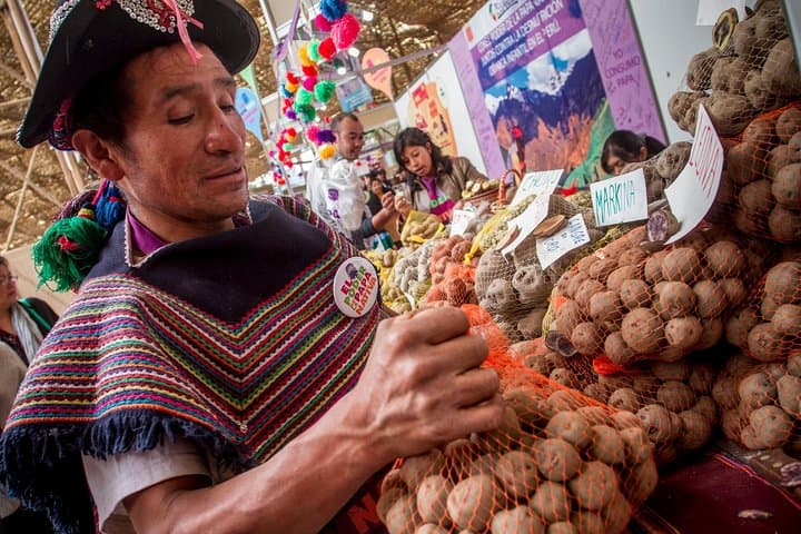 Peruvian Home Cooking in Cusco