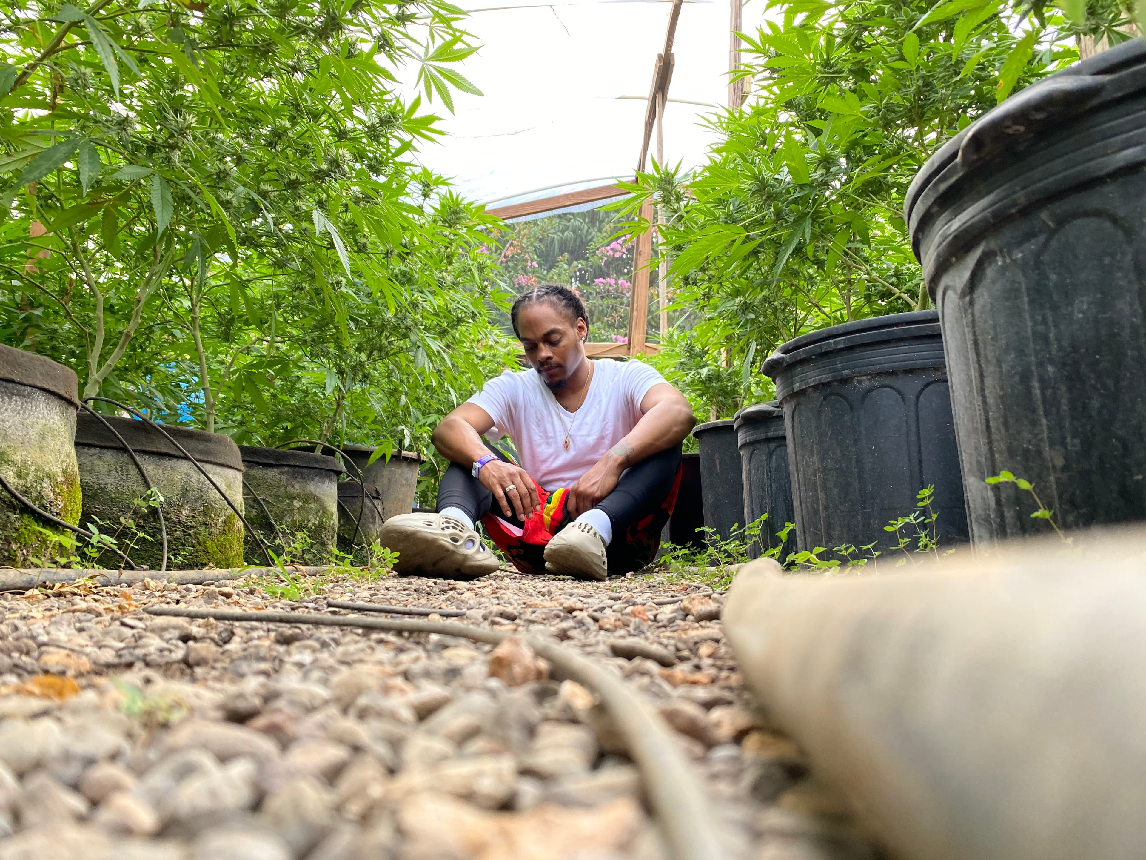 Montego Bay: Ganja Plantation Tour