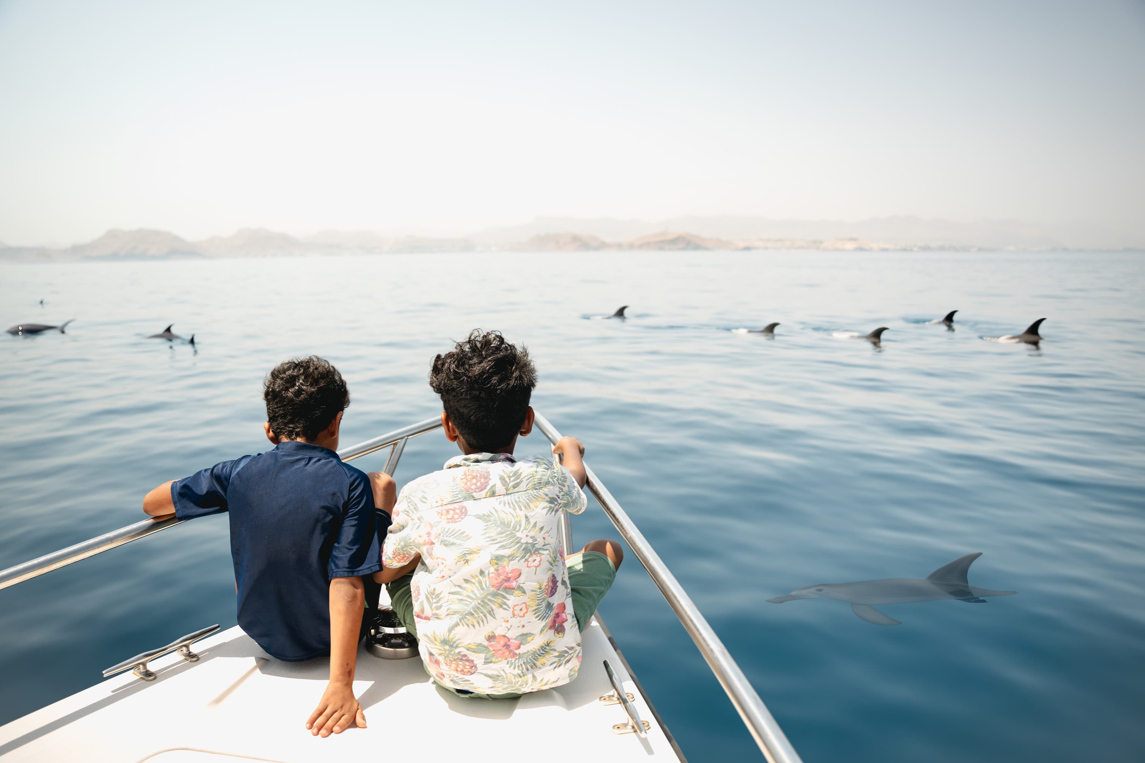 Exclusive boating experience (Dolphin watching)