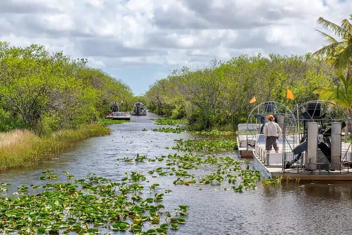 Everglades Airboat Tour in Miami