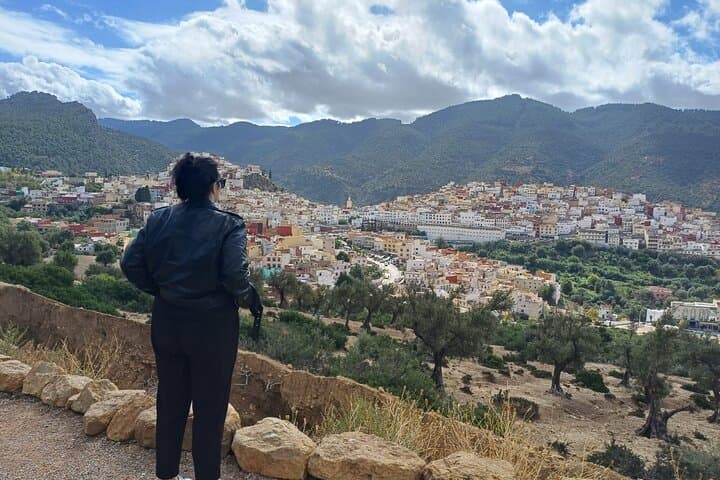 Excursions from Fez to Meknes Volubilis and Moulay Idriss