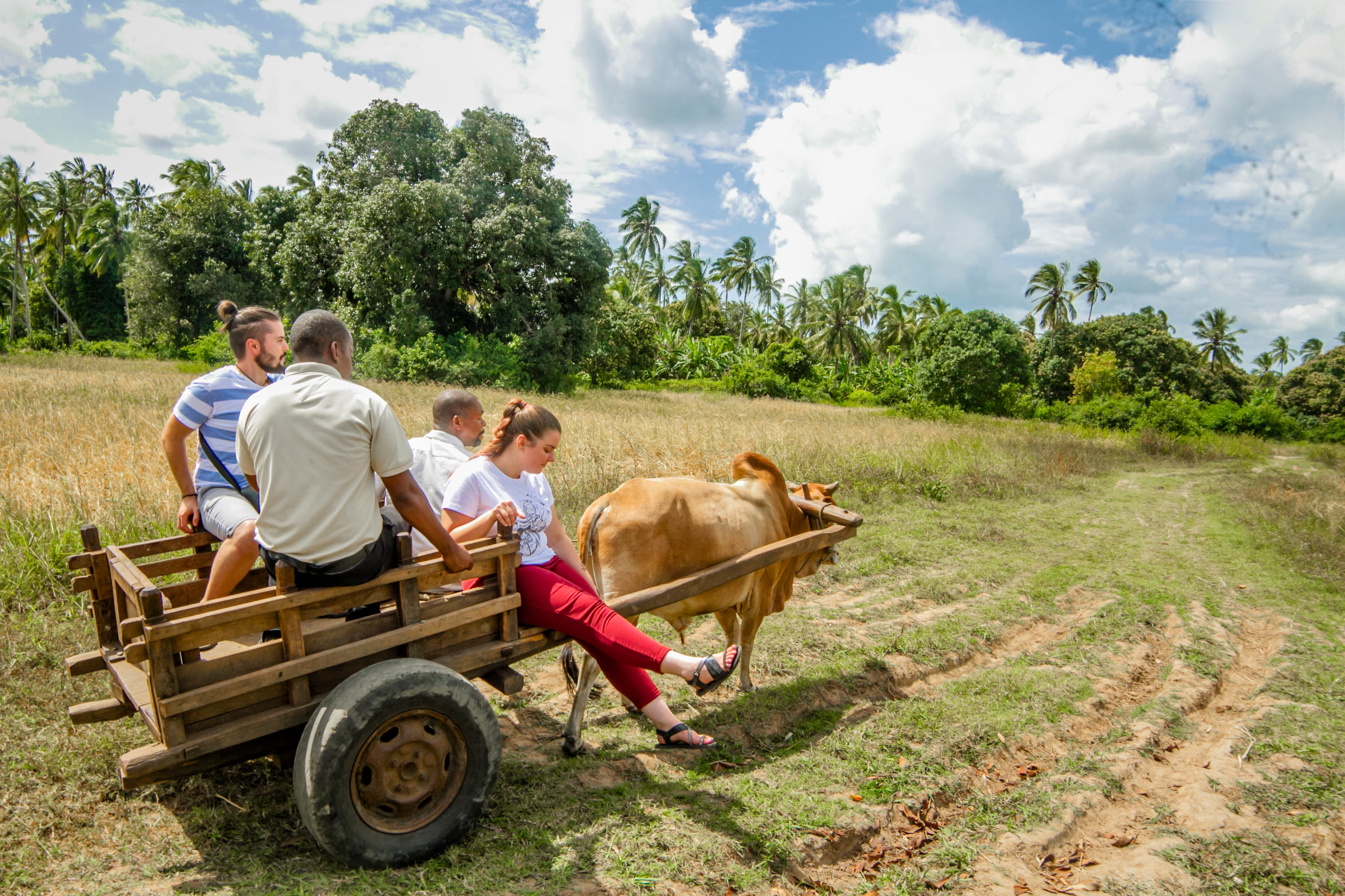 Swahili Village Tour
