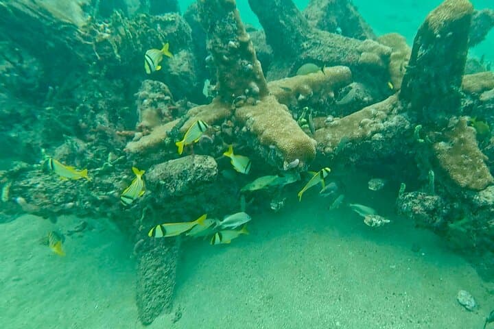 Fort Lauderdale: Ocean Reef Snorkeling Tour w/ Snacks & Drinks