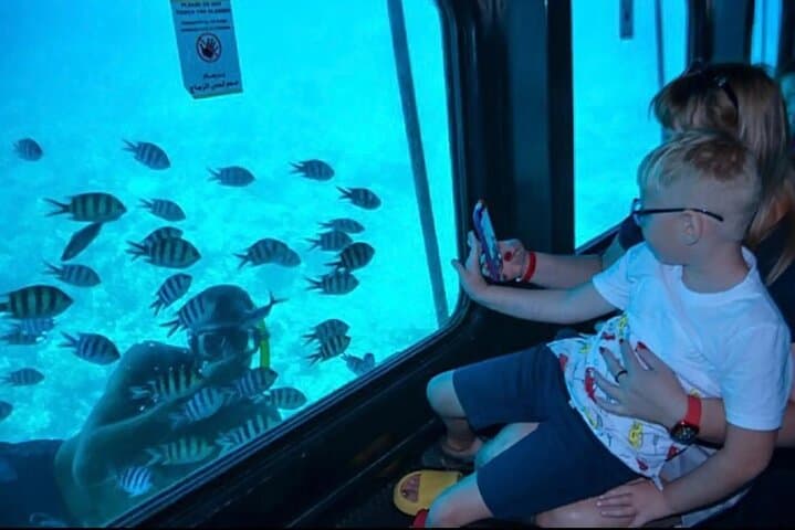 Marine Life in Sharm Semi Submarine Boat Tour