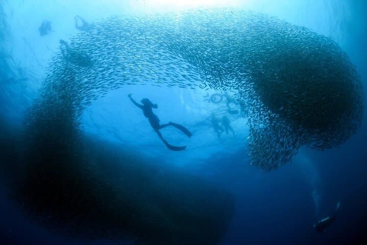 Cebu Tour Package 3D2N