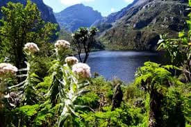 19-Day Hike Rwenzori-Gorilla & Chimp Trek and Big Five