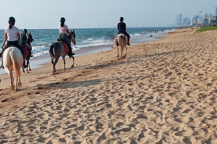 Half-Day Horse Riding in Kalpitiya