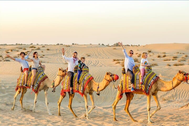 Private Dubai Layover Tour: Explore Top City Highlights