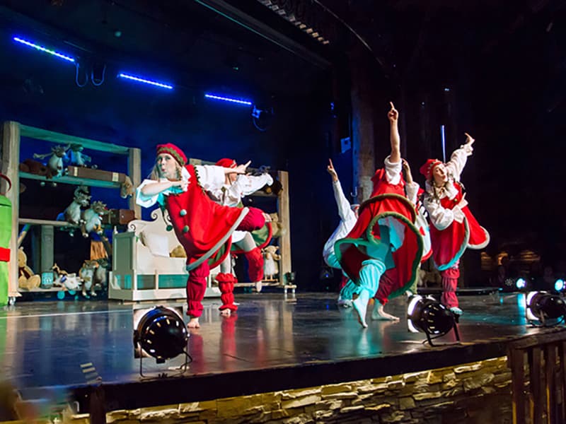 Day-trip to Santa Claus village and Santa Park with lunch