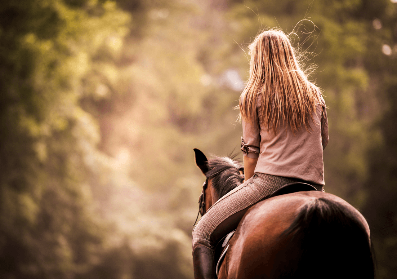 Private Horseback Experience in the Heart of Tuscany and Wine Tasting