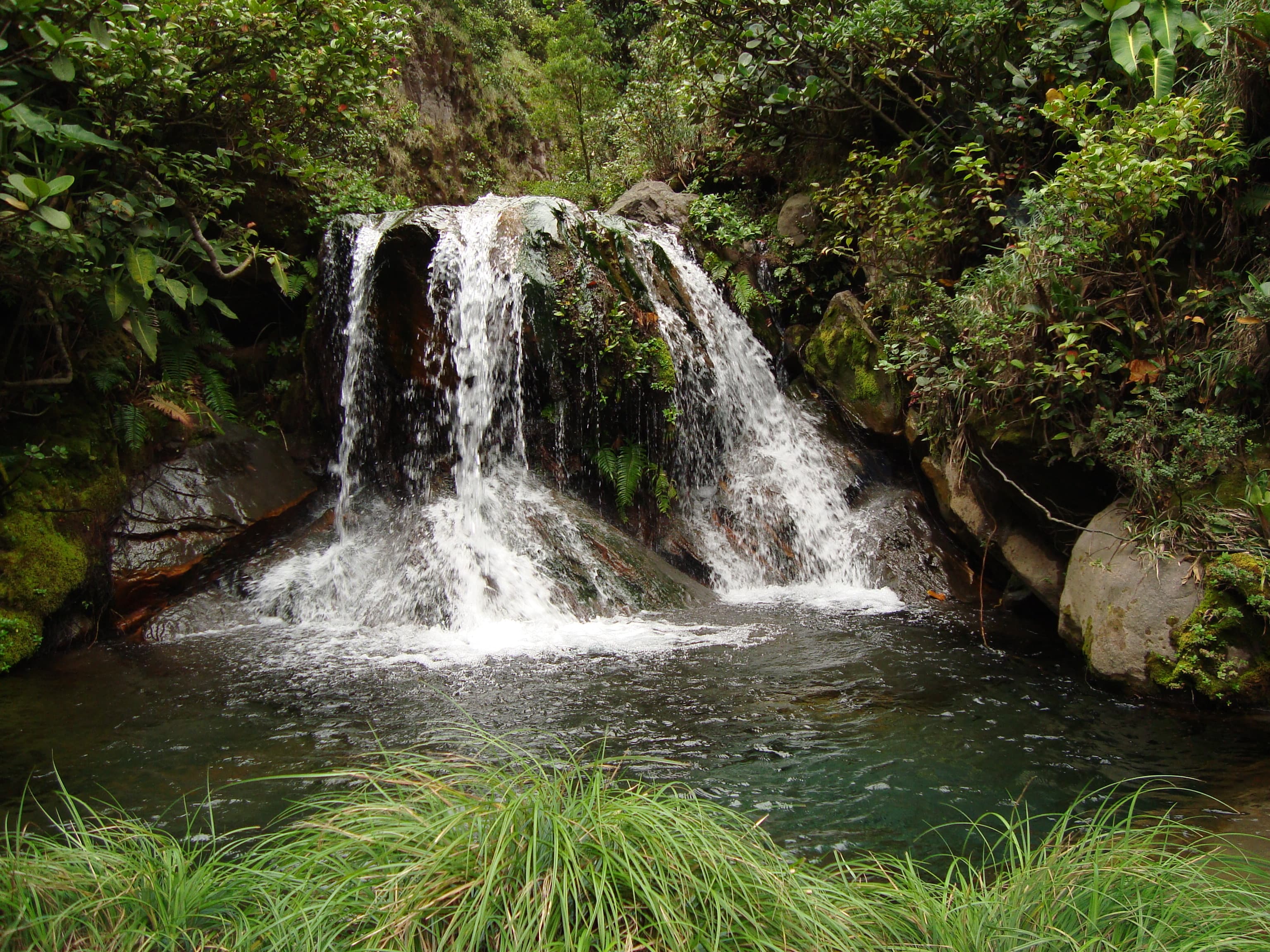 Rincón de La Vieja National Park & Hot Springs