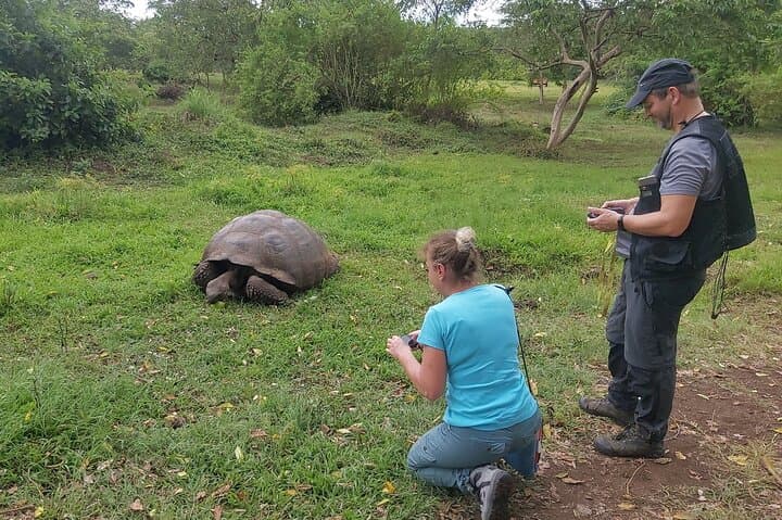 Transfer Airport-hotel in Galapagos Santa Cruz with visit to Giant Tortoises